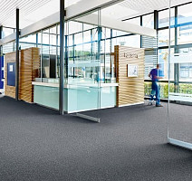 Forbo Coral Go 2201 London Grey фото 2 | FLOORDEALER